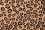 леопардовый