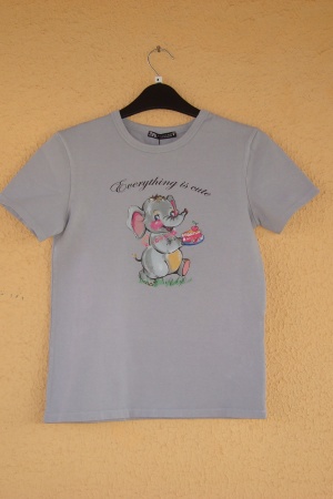 Жіночі футболки Zara Іспанія - Зара ZR1432-w-S