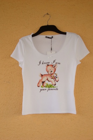 Жіночі футболки Zara Іспанія - Зара ZR1433-w-S