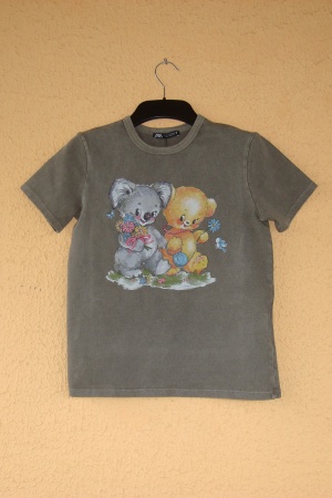 Футболка жіноча Zara Іспанія - Зара ZR1436-w-S